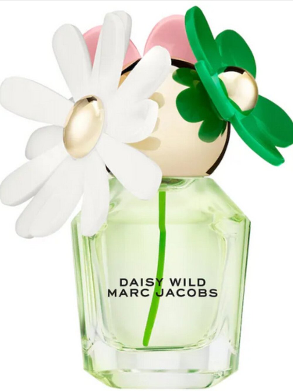 🆕 NIB 🌼 Daisy Wild EdP with Jasmine 30 ml / 1 0z